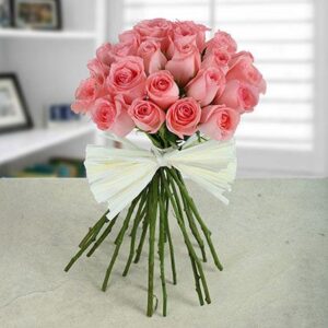 Pink Rose