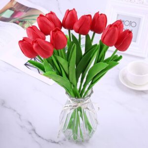 Red Tulip