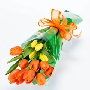 Orange Tulips