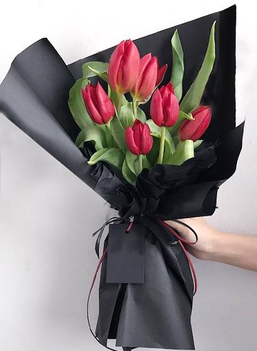 Red Tulips - Image 6