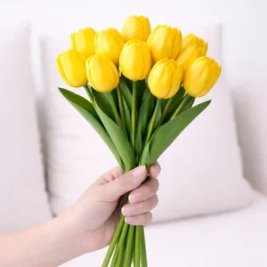 Yellow Tulips