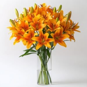 Orange Lilies