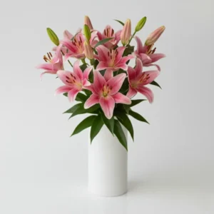 Pink Lilies